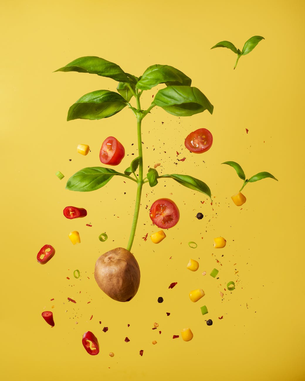 vegetables on yellow background